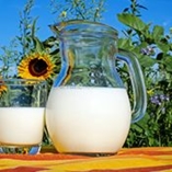 Lait végétal